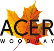 Acer interier